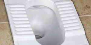 Indian Toilet Seat