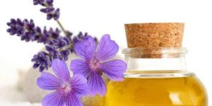 Geranium Oil