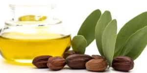 Jojoba Oil