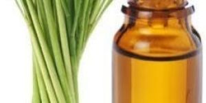Lemongrass Oil