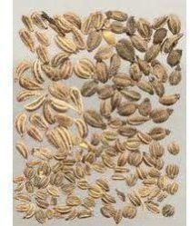 Ajwain Seeds