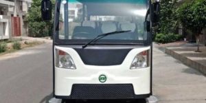 Sightseeing Electric Mini Bus