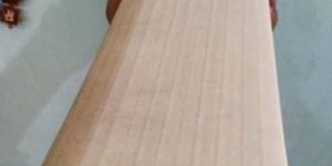 English Willow Cricket Bat