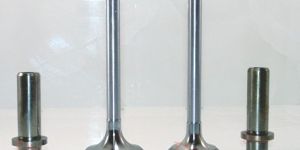 Engine Exhaust Valve