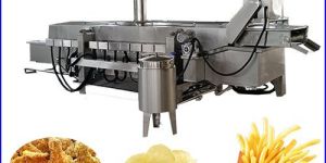 Automatic Namkeen Frying Machine