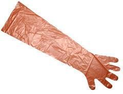 HDPE Disposable Glove