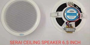 Ceiling Speaker