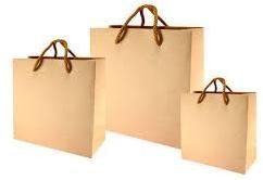 Craft Paper Carry Bag