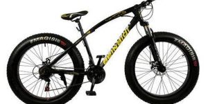 Aluminium Fat Tyre Bicycle