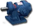 Rotary Gear Pumps