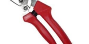 Pruning Shear