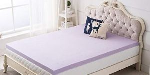 Classic Furn Plain Foam Mattress