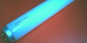Fluorescent Tube Blue Light