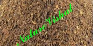 NATURE VISHAL - Neem Powder