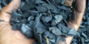 Charcoal Fines
