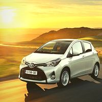 Car & Coach Rentals