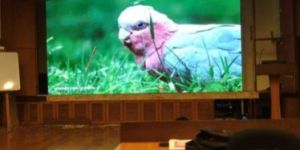 Indoor LED Video Wall