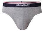 Brief