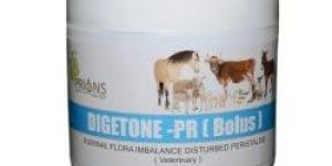 Digetone-PR (Bolus) Probiotic