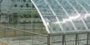 Multiwall Polycarbonate Sheet