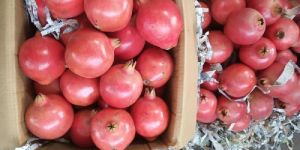 Fresh Pomegranate