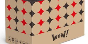 Printed Corrugated Boxes