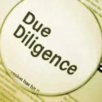 Due Diligence Services