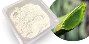 Aloe Vera Spray Dried Powder 200X