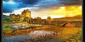 Professional Industrial Grade Display