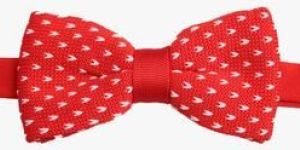 Knitted Bow Necktie