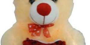 Teddy Soft Toy