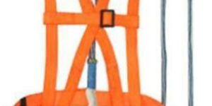 Polyester Safety Belt