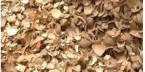 Crushed Coconut Shell
