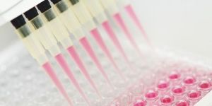 Polystyrene Elisa Well Plate