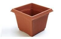 Plastic Square Pot