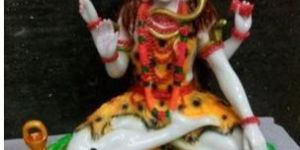 Marble Shivaji Statue