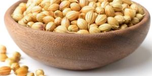 Coriander Seeds