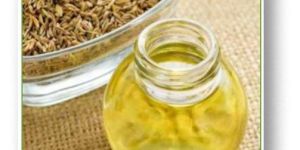 Fennel Seed Oil