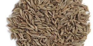 Cumin Seeds