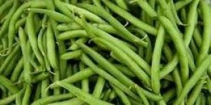 Green Beans