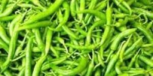 Green Chilli