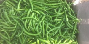 Green Chilies