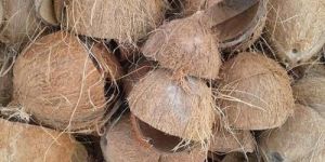 Dry Coconut Shell