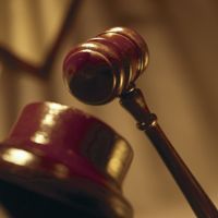 Property Legal Adviser