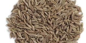 Cumin Seeds
