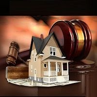Property Law Consultant