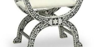 Bone Inlay Roman Chair