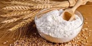 Wheat Flour