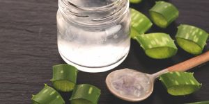 Aloe Vera Pulp