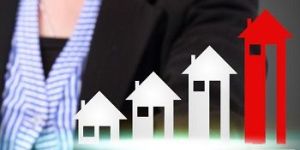 Real Estate Consultant